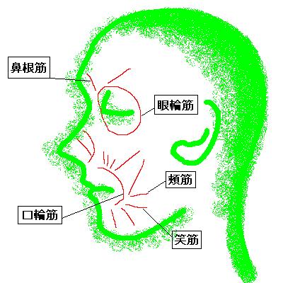 表情筋の鍛え方と笑顔のトレーニング